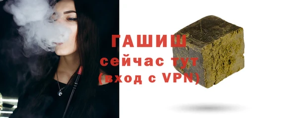 мдпв Козельск