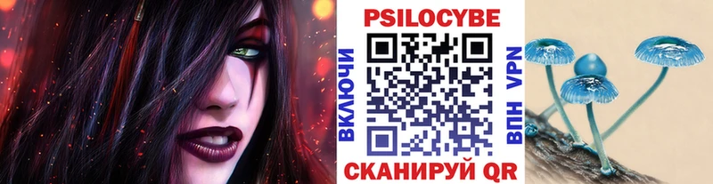 OMG   Дербент  Галлюциногенные грибы мицелий  сколько стоит 
